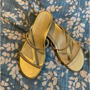 Vionic gold sandals. Minimal wear.